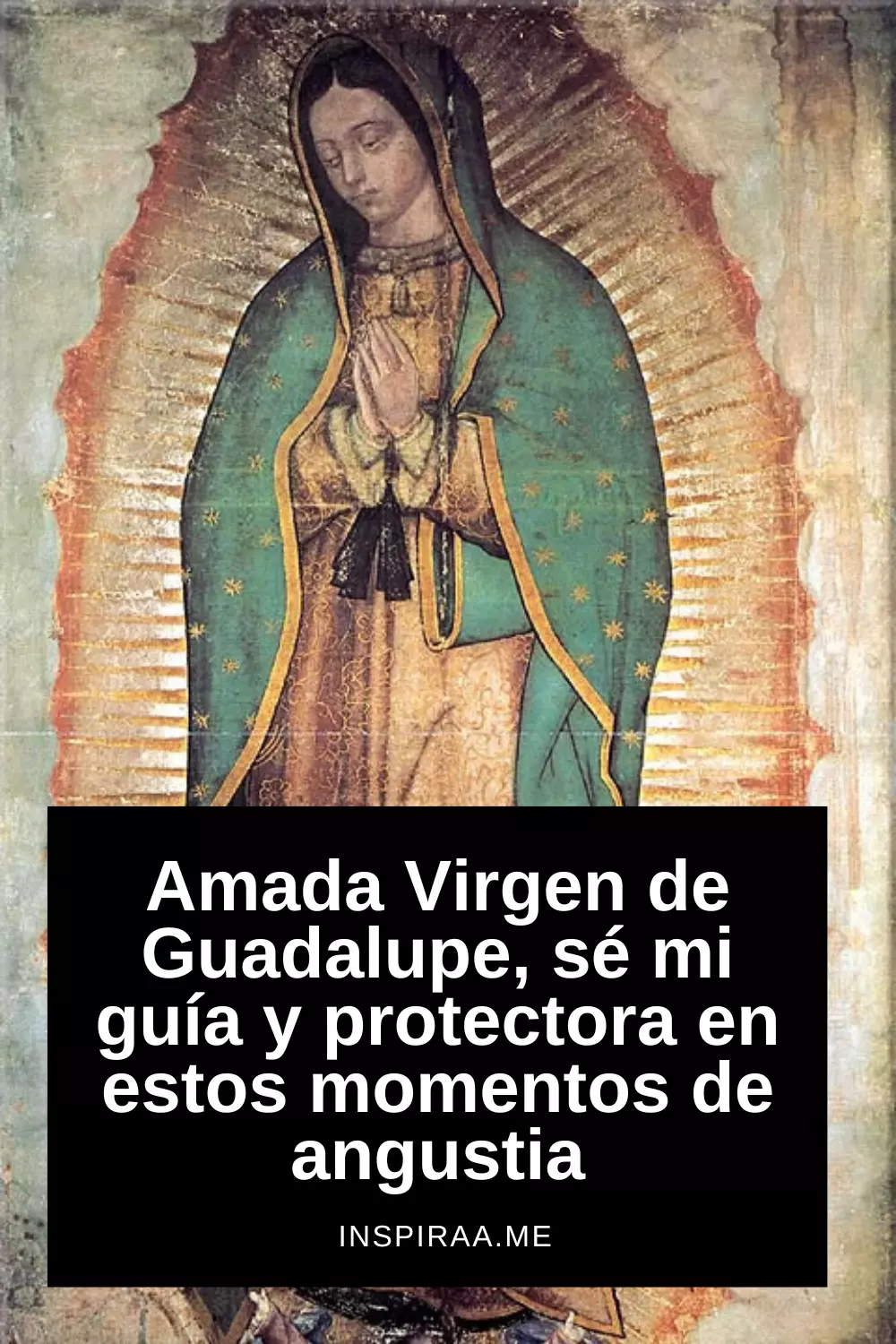 Frases de la Virgen de Guadalupe ¡Celébrala el 12 de diciembre!